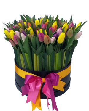 100 tulipanes