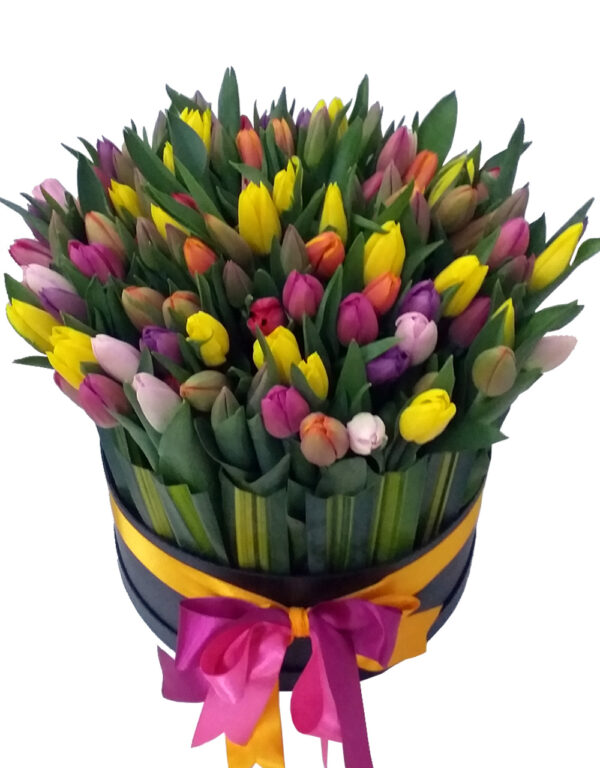 box premium tulipanes