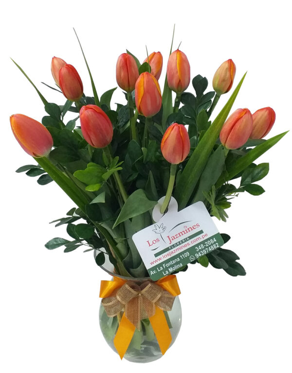 tulipanes anaranjados