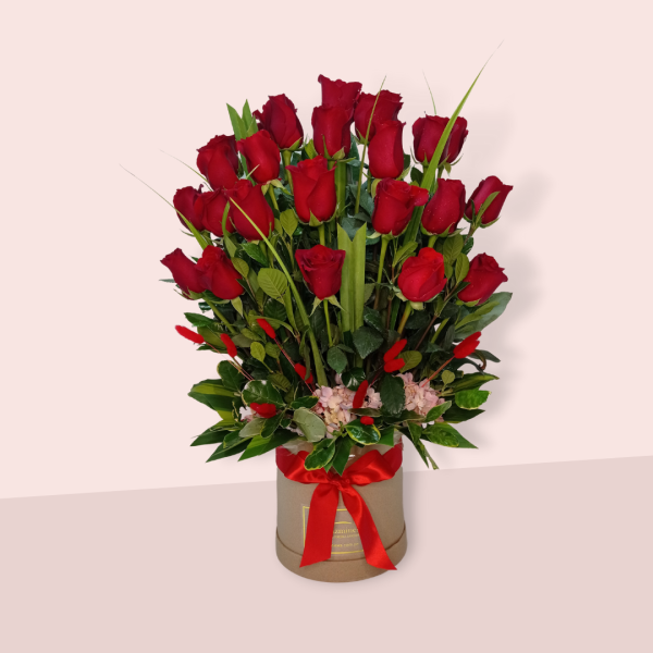 Arreglo floral con 24 rosas rojas más follaje en box circular