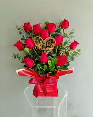 Amor de Mamá